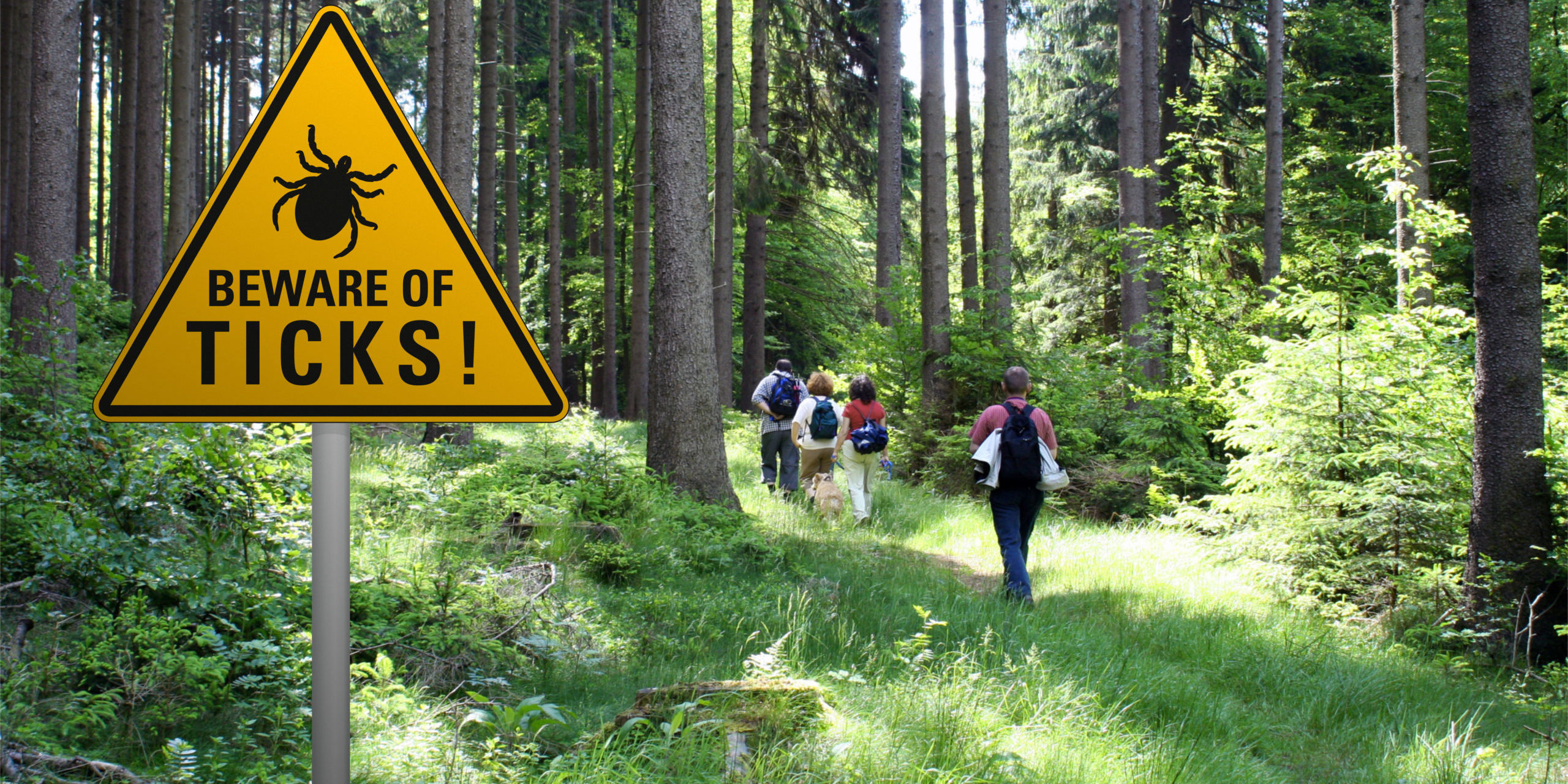 Warning,Sign,”beware,Of,Ticks”,In,Infested,Area,In,The